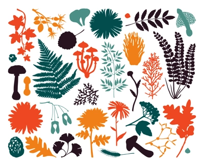 Autumn plant silhouettes set. hand-drawn vector illustration. Botanical design elements - ferns, fall leaves, flowers, branches, mushrooms. Abstract drawings in color.